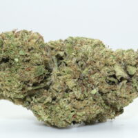 Mendo Breath