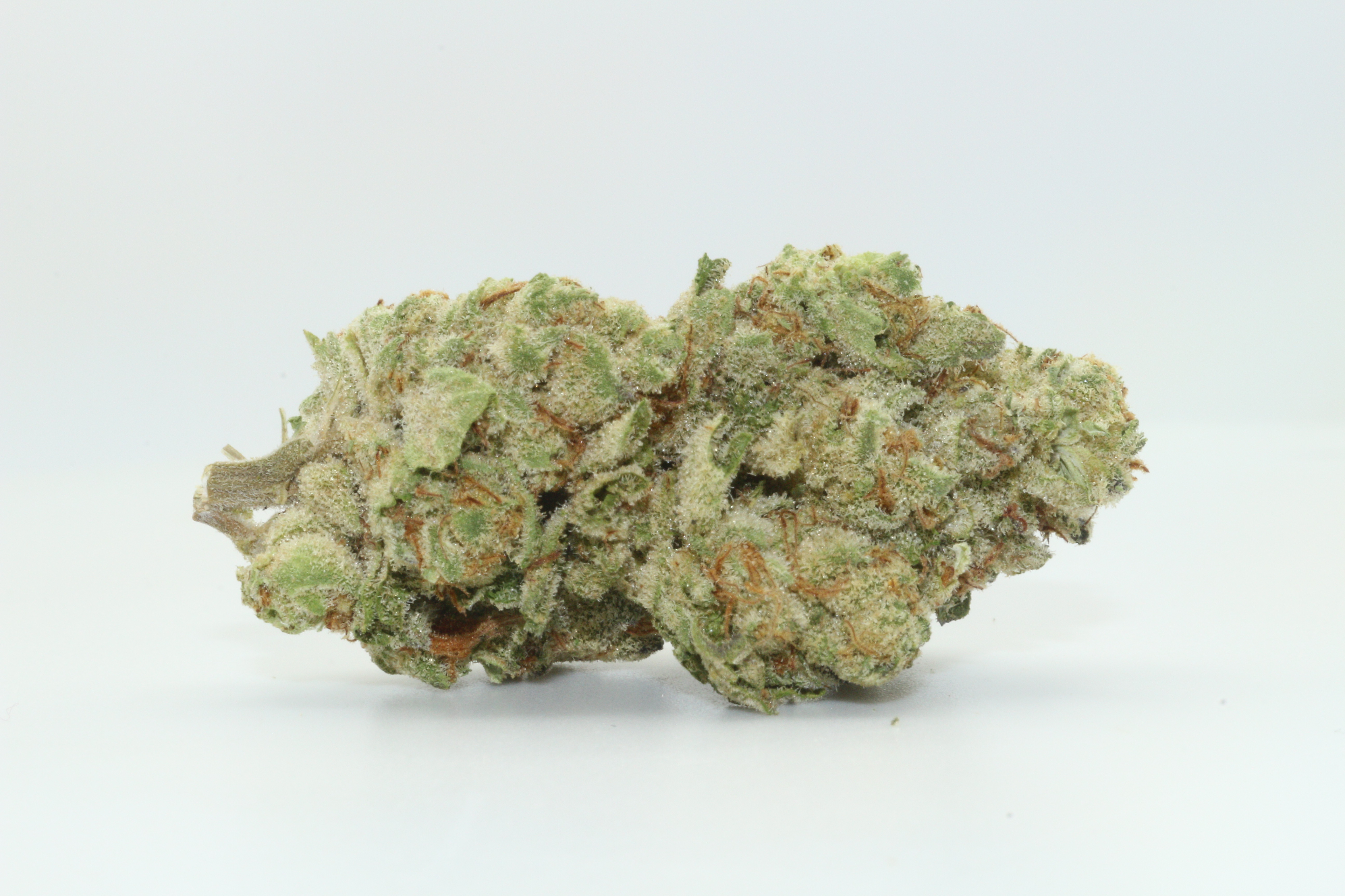 Zhits Fire