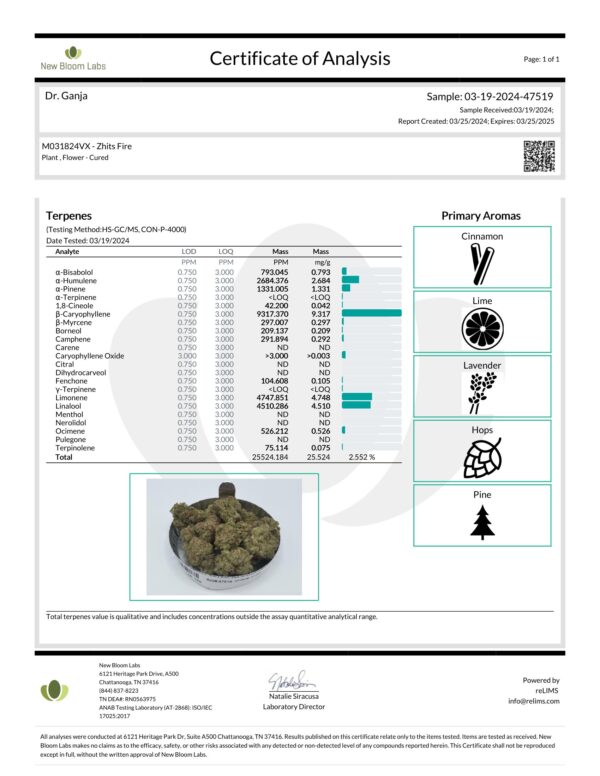 Zhits Fire Terpenes Certificate of Analysis