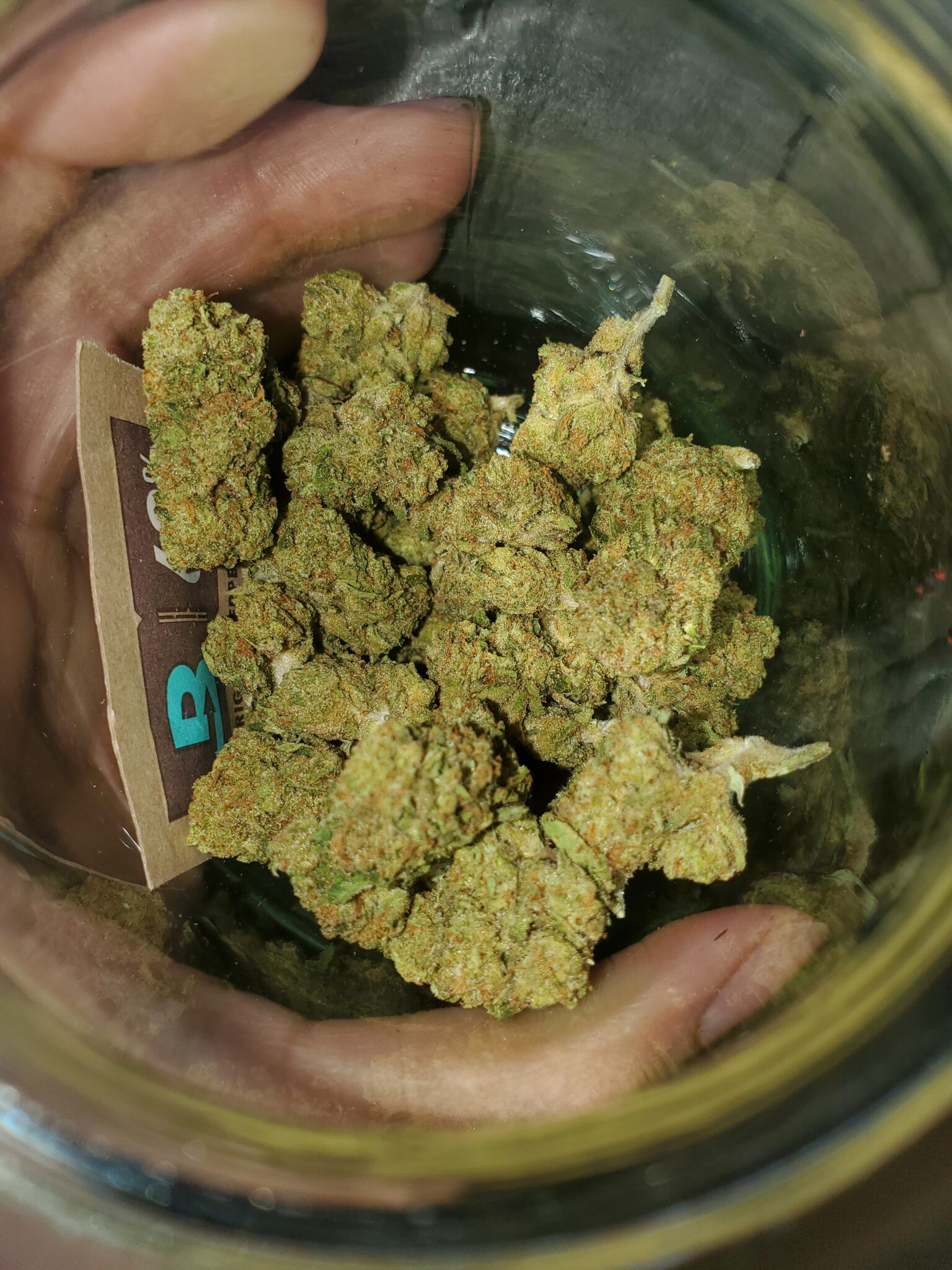 Image #2 from Damian