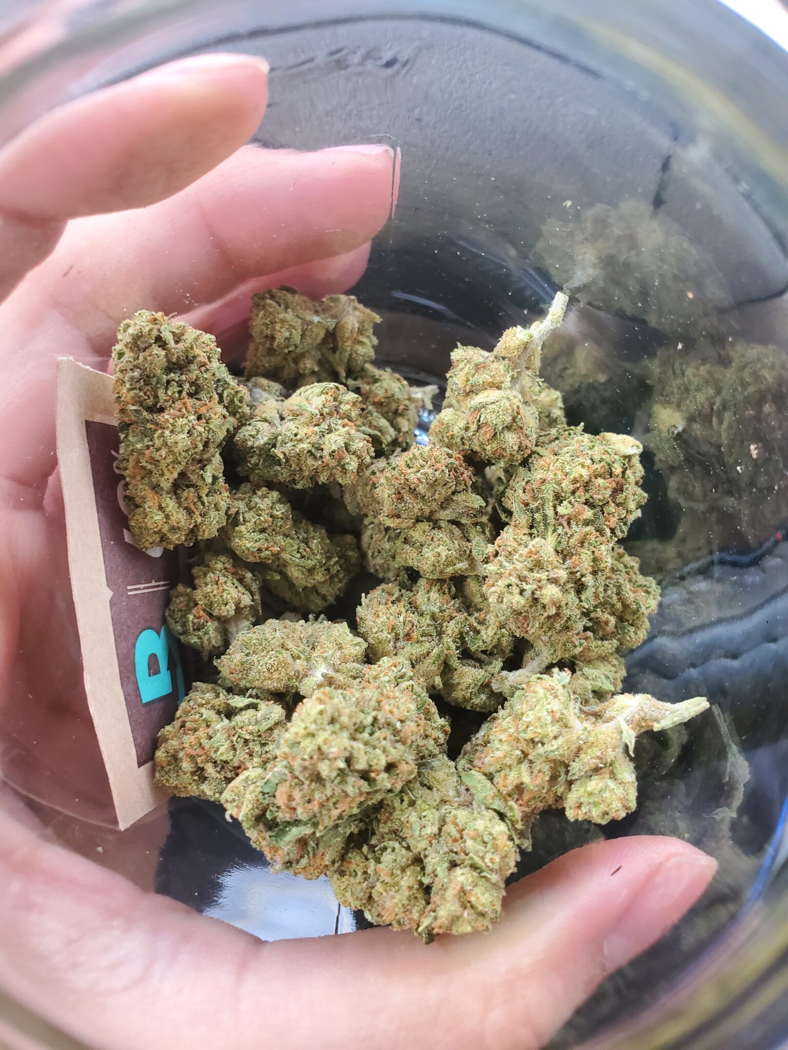 Image #1 from Damian