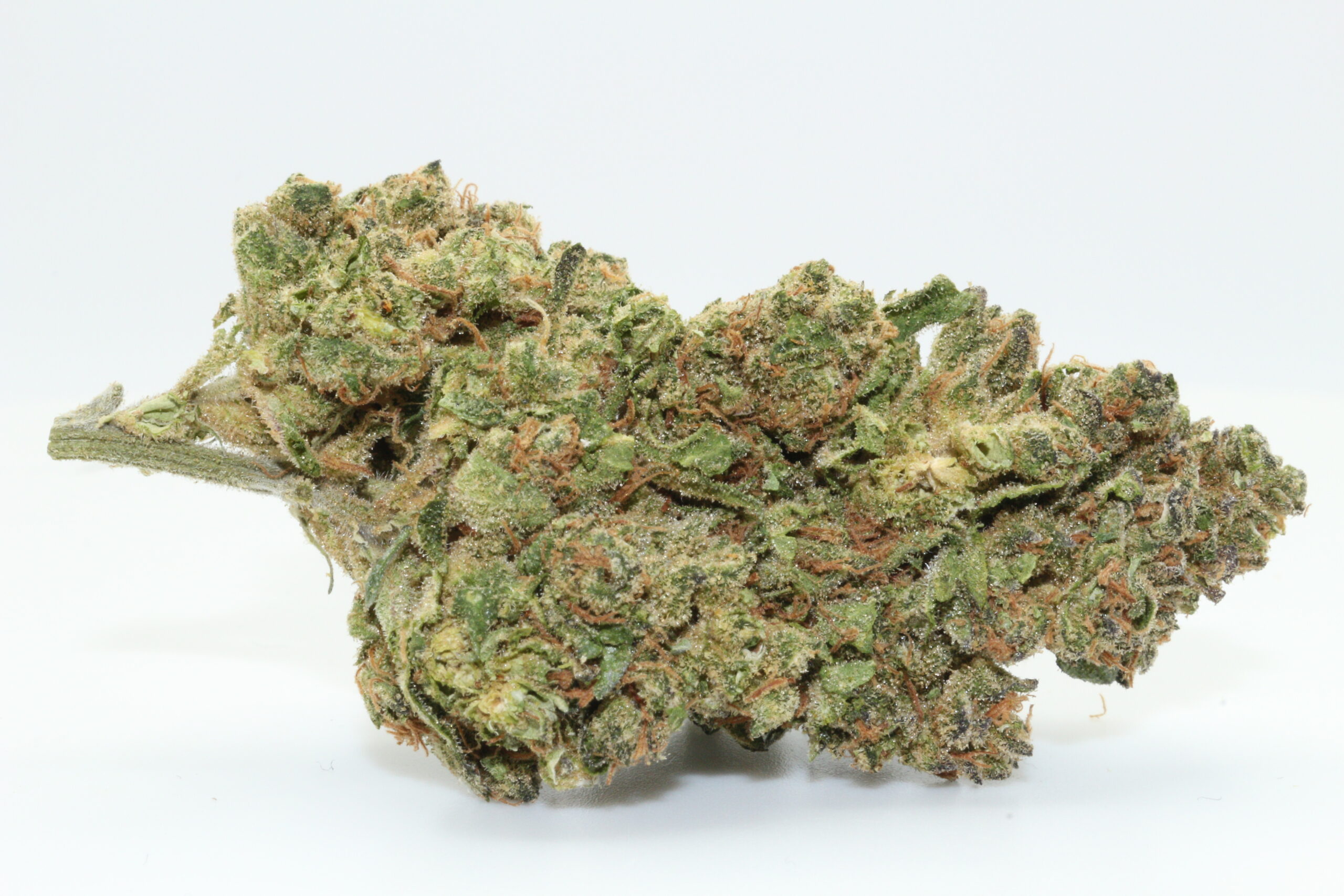 Black Mamba THCA Hemp Flower Black Mamba THCA Hemp Flower