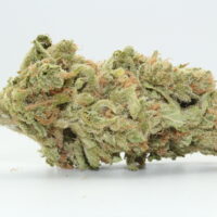 Honey Bee THC Flower