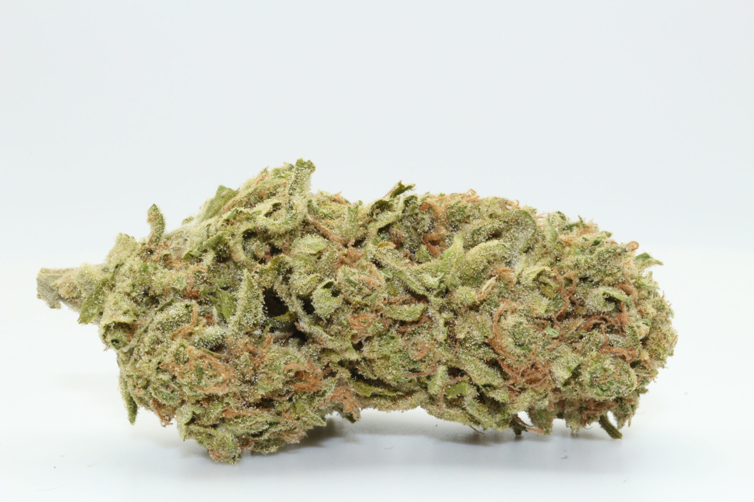 Honey Bee THCA Flower Honey Bee THCA Flower