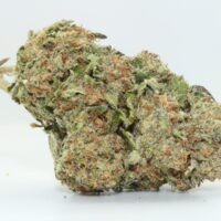 Project 4510 THCA Hemp Flower