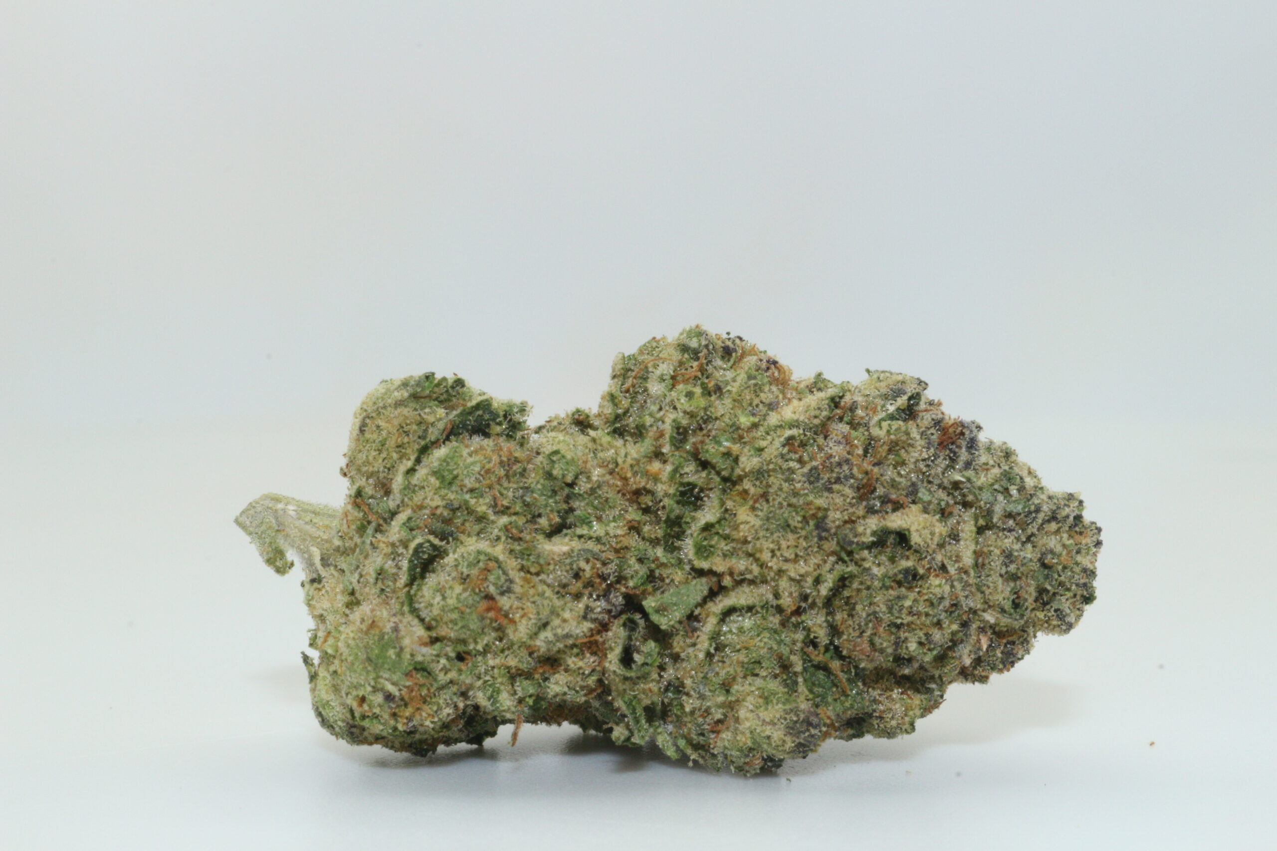 Sherbanger THCA Hemp Flower Smalls Sherbanger THCA Hemp Flower Smalls