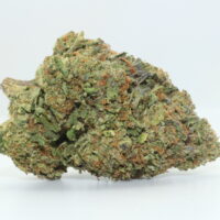 Swiss Watch THCA Hemp Flower