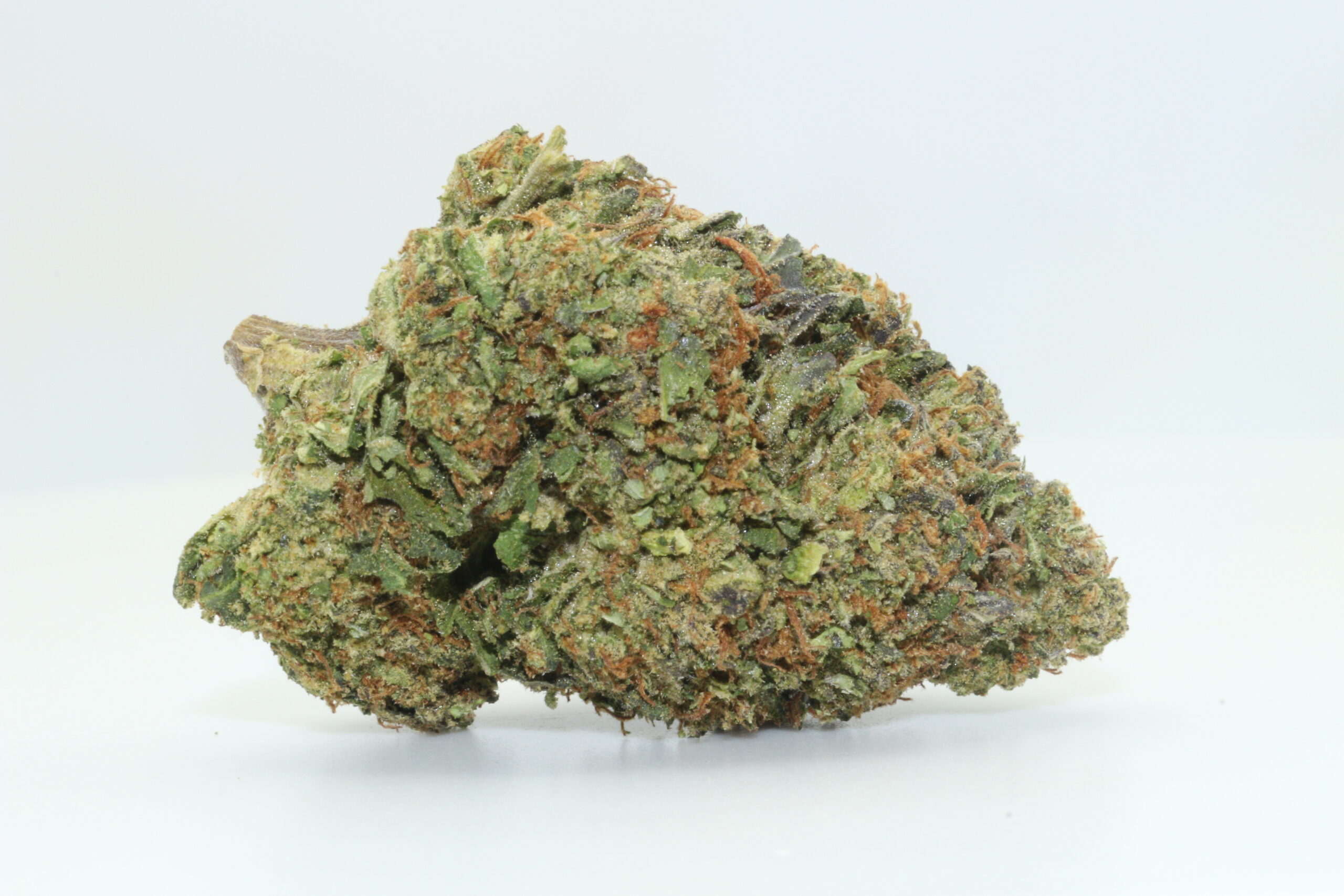 Swiss Watch THCA Hemp Flower Swiss Watch THCA Hemp Flower