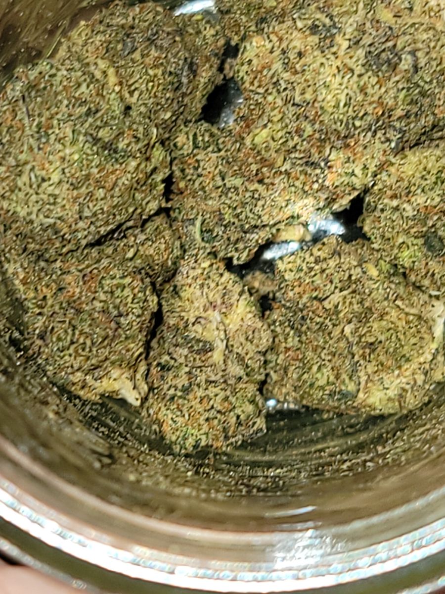 Image #1 from Dr.Ganja Customer