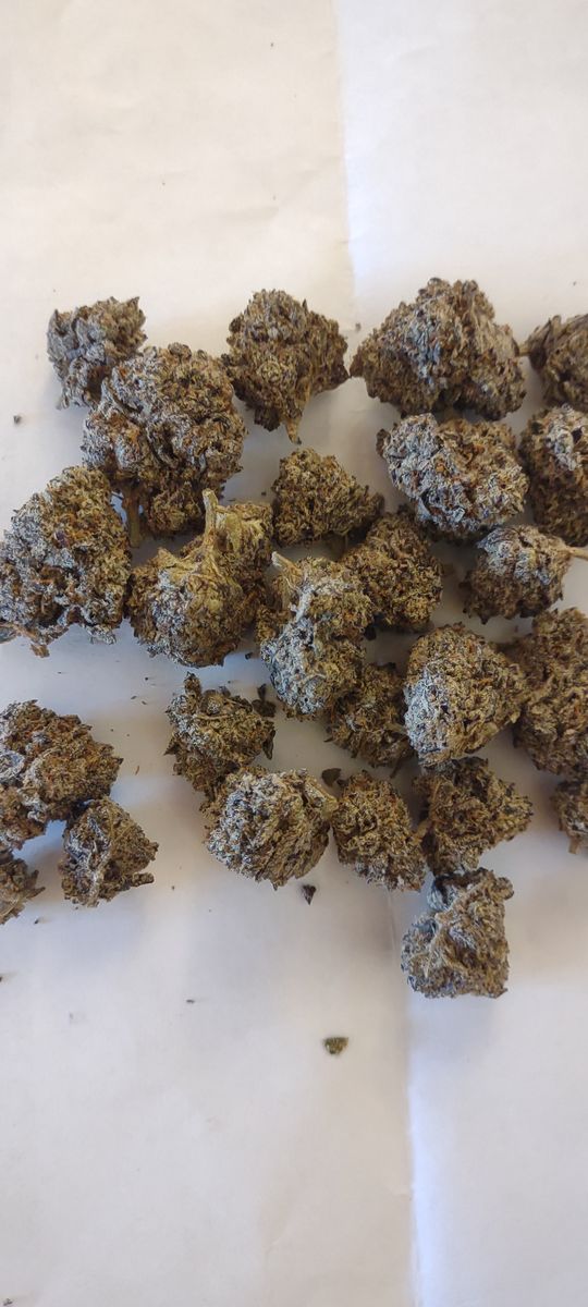 Image #2 from Dr.Ganja Customer