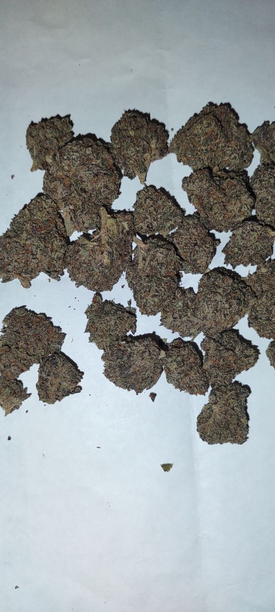 Image #1 from Dr.Ganja Customer