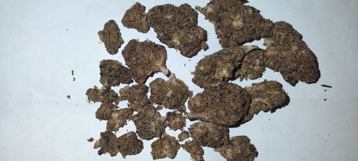 Image #2 from Dr.Ganja Customer