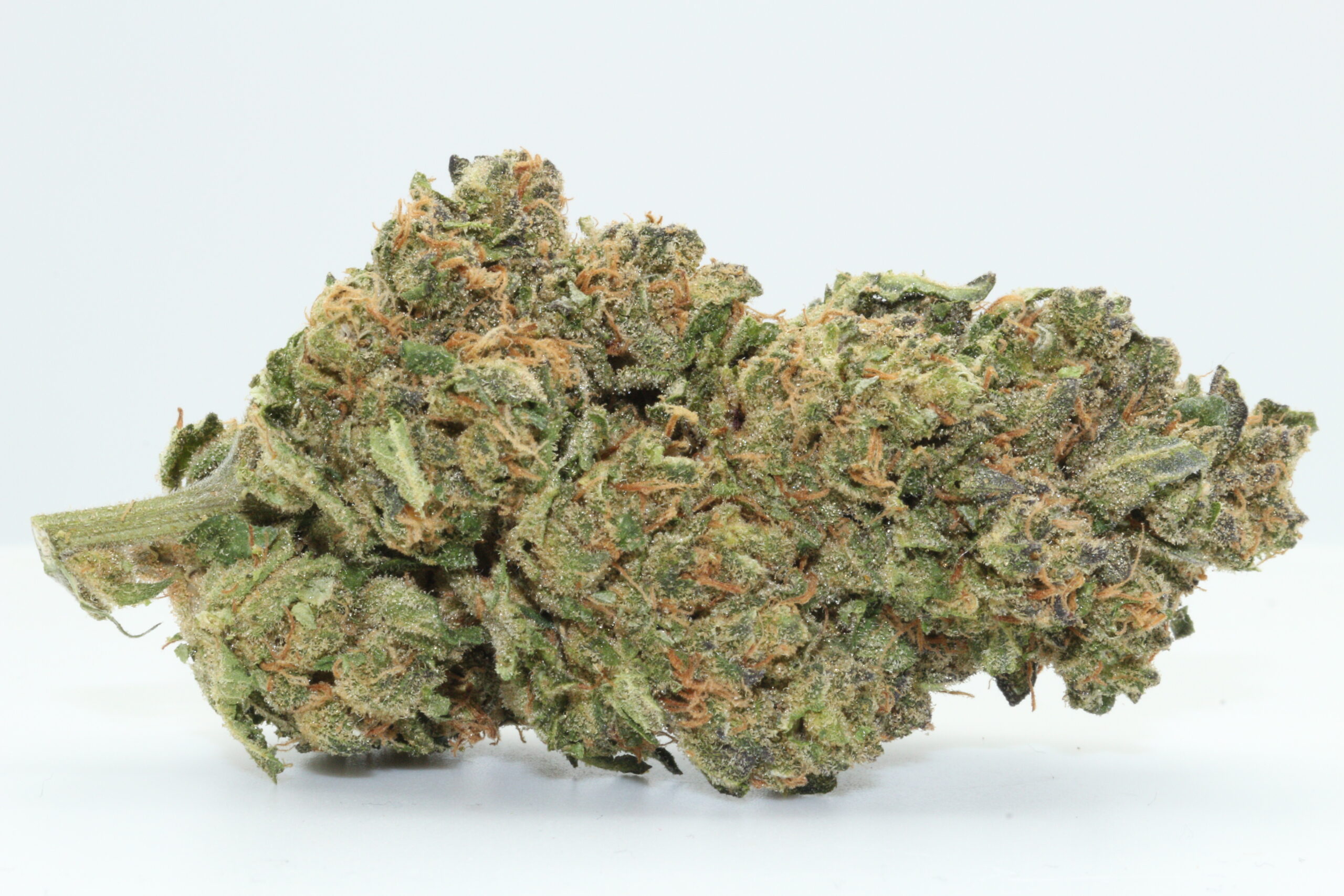 Blueberry Gelato THCA Hemp Flower Blueberry Gelato THCA Hemp Flower