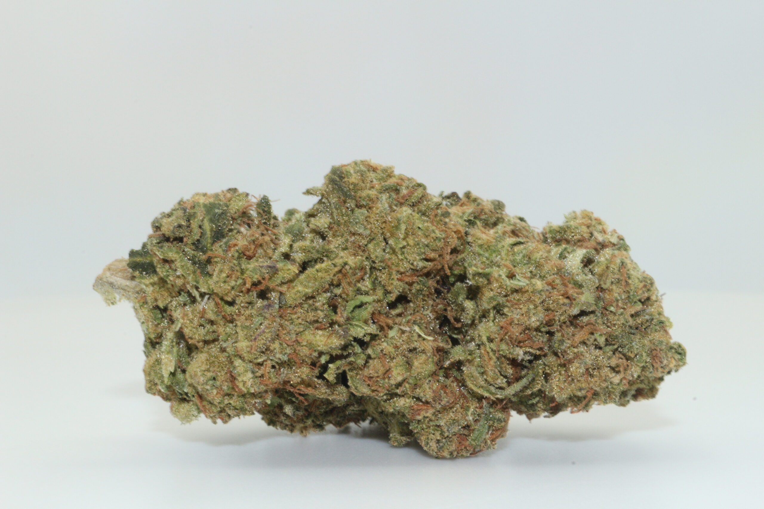 Canal St. Runtz THCA Hemp Flower Canal St. Runtz THCA Hemp Flower