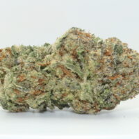 Canal St. Runtz THCA Hemp Flower