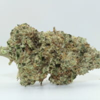 Canal Street Runtz THCA Hemp Flower