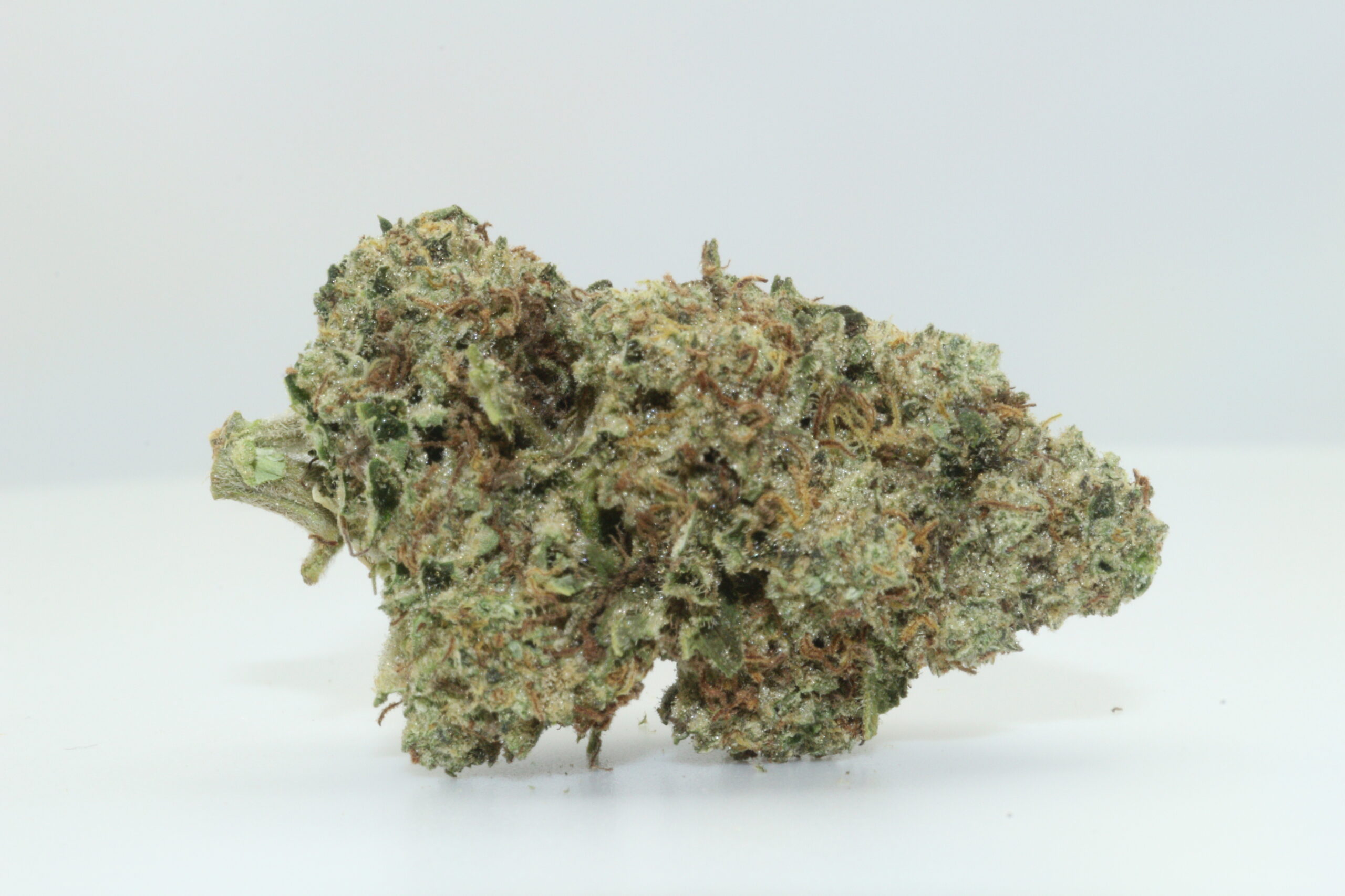 Canal St. Runtz