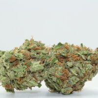 Moroccan Peaches THCA Hemp Flower