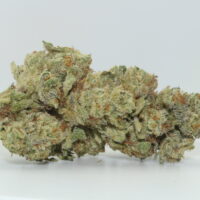 The Menthol THCA Hemp Flower