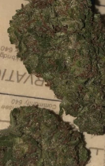 Image #1 from Dr.Ganja Customer