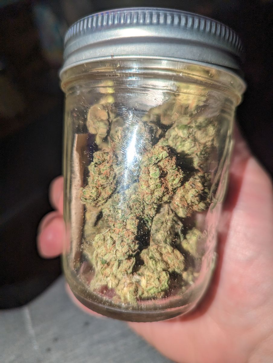 Image #2 from Dr.Ganja Customer