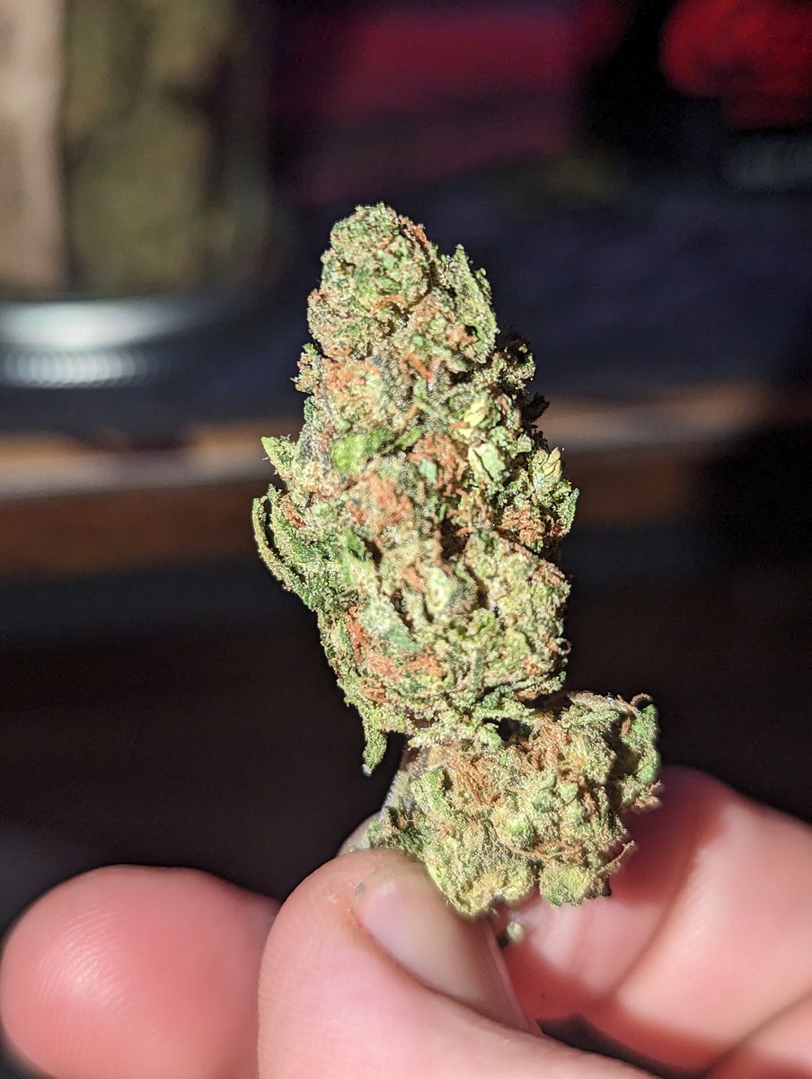 Image #1 from Dr.Ganja Customer