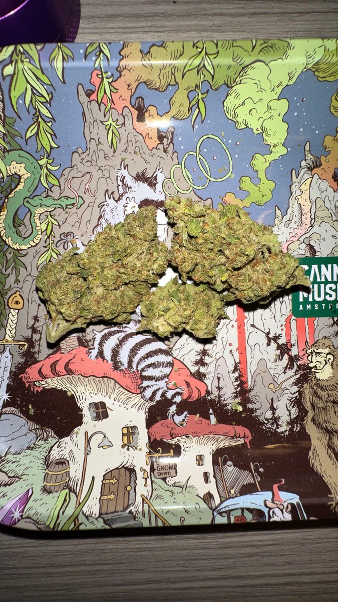 Image #1 from Dr.Ganja Customer