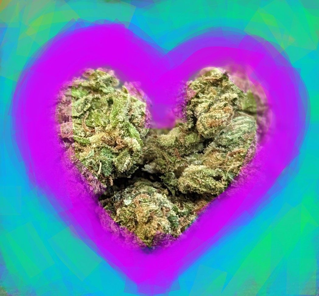 Image #1 from Dr.Ganja Customer