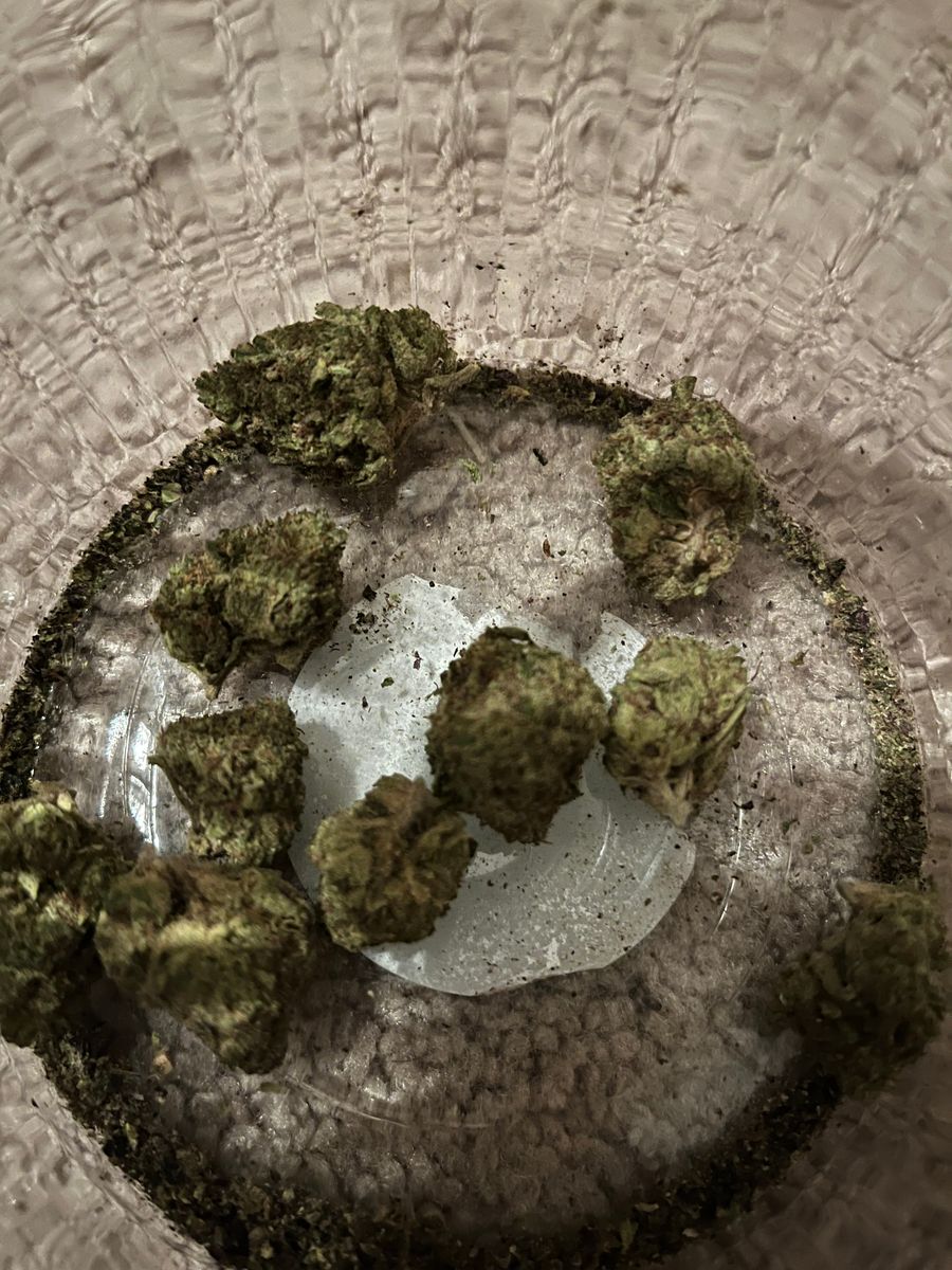 Image #1 from Dr.Ganja Customer