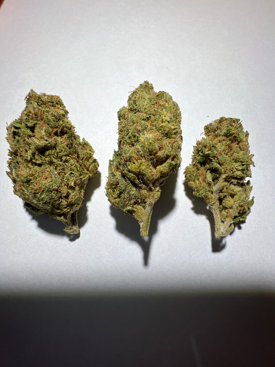 Image #4 from Dr.Ganja Customer