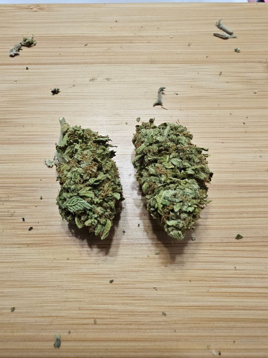 Image #1 from Dr.Ganja Customer