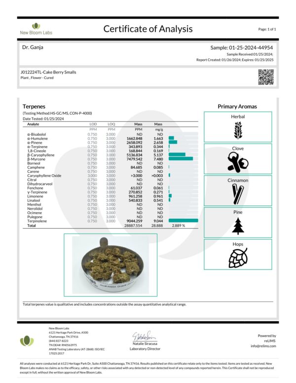 Cake Berry Smalls Terpenes Certificate of Analysis