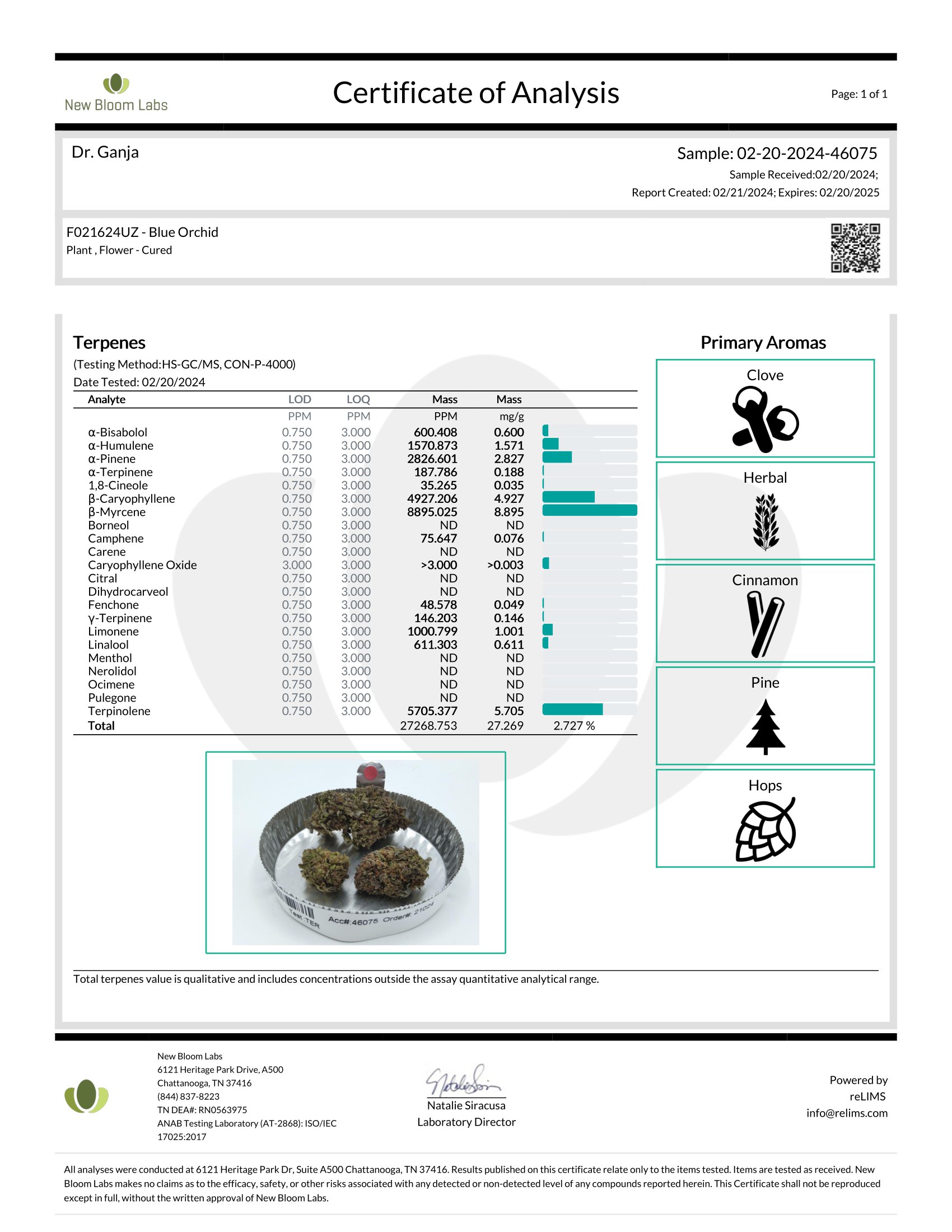 Blue Orchid Terpenes Certificate of Analysis