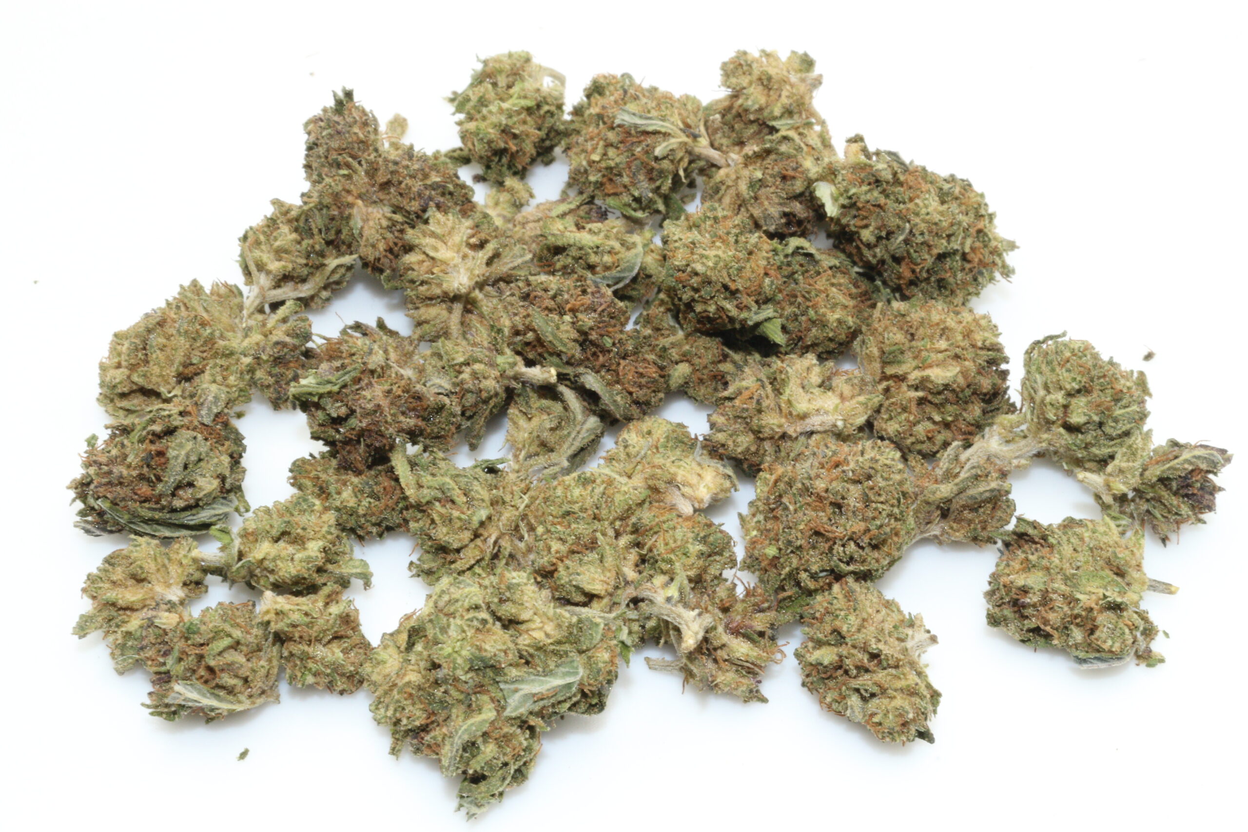 Raspberry Bear Claw Smalls CBD Flower Raspberry Bear Claw Smalls CBD Flower