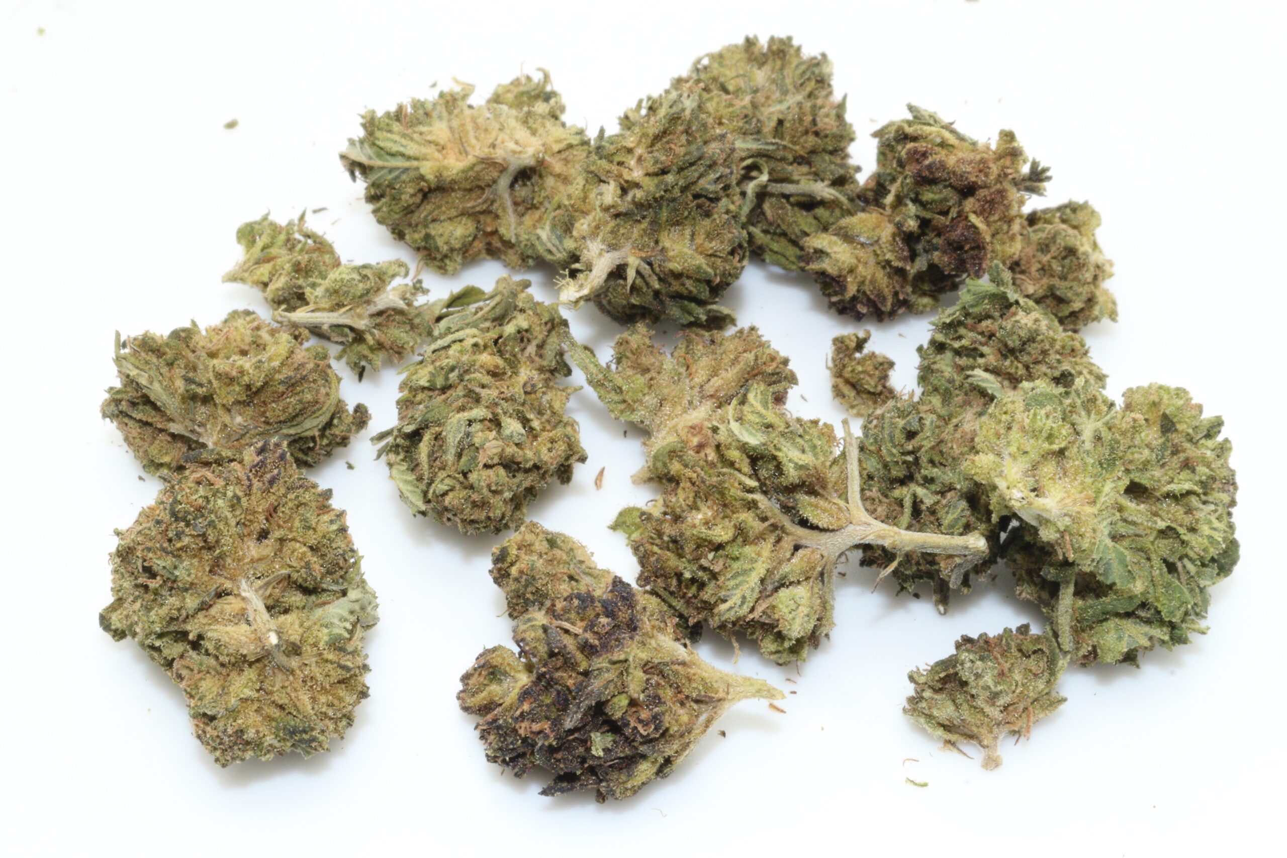 Zombie Kush Smalls CBD Flower Zombie Kush Smalls CBD Flower