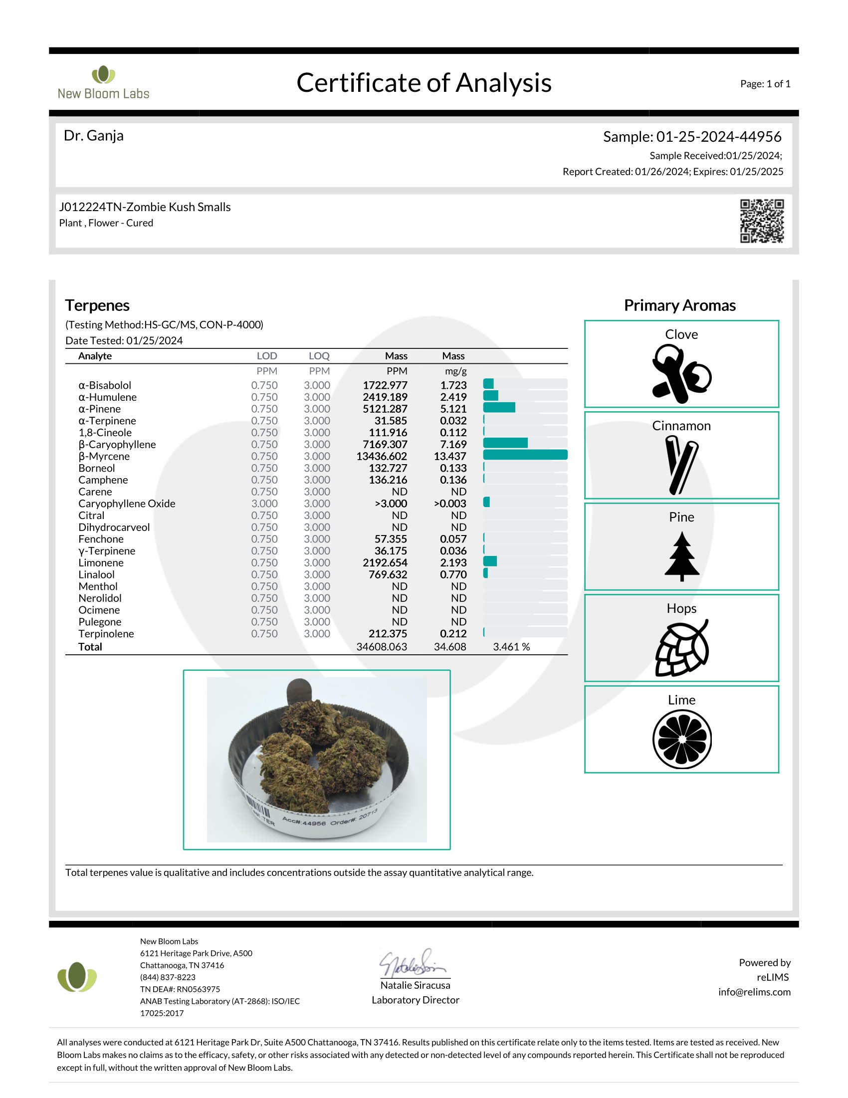 Zombie Kush Smalls Terpenes Certificate of Analysis Zombie Kush Smalls Terpenes Certificate of Analysis