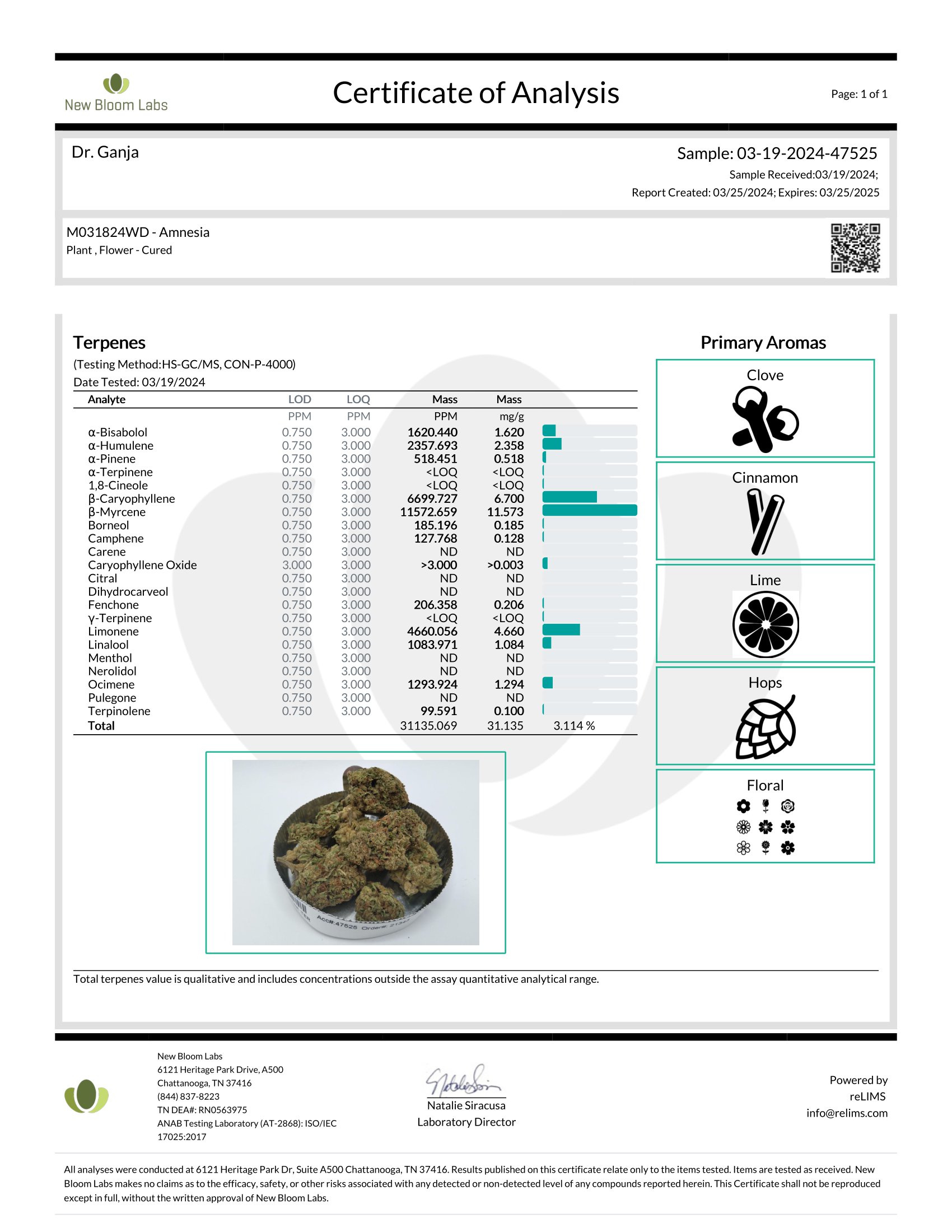 Amnesia Terpenes Certificate of Analysis Amnesia Terpenes Certificate of Analysis
