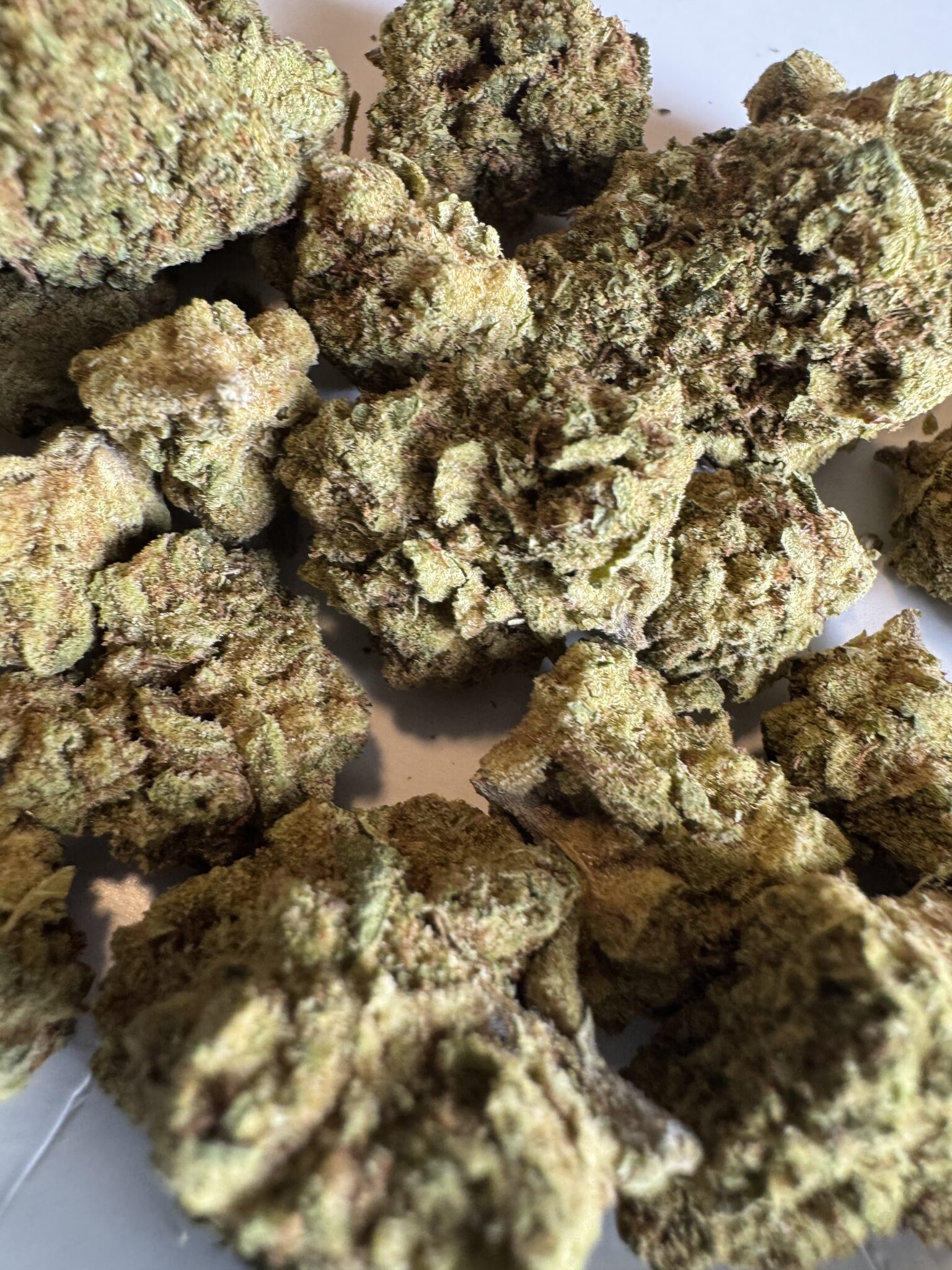 Image #2 from Blake Griffin