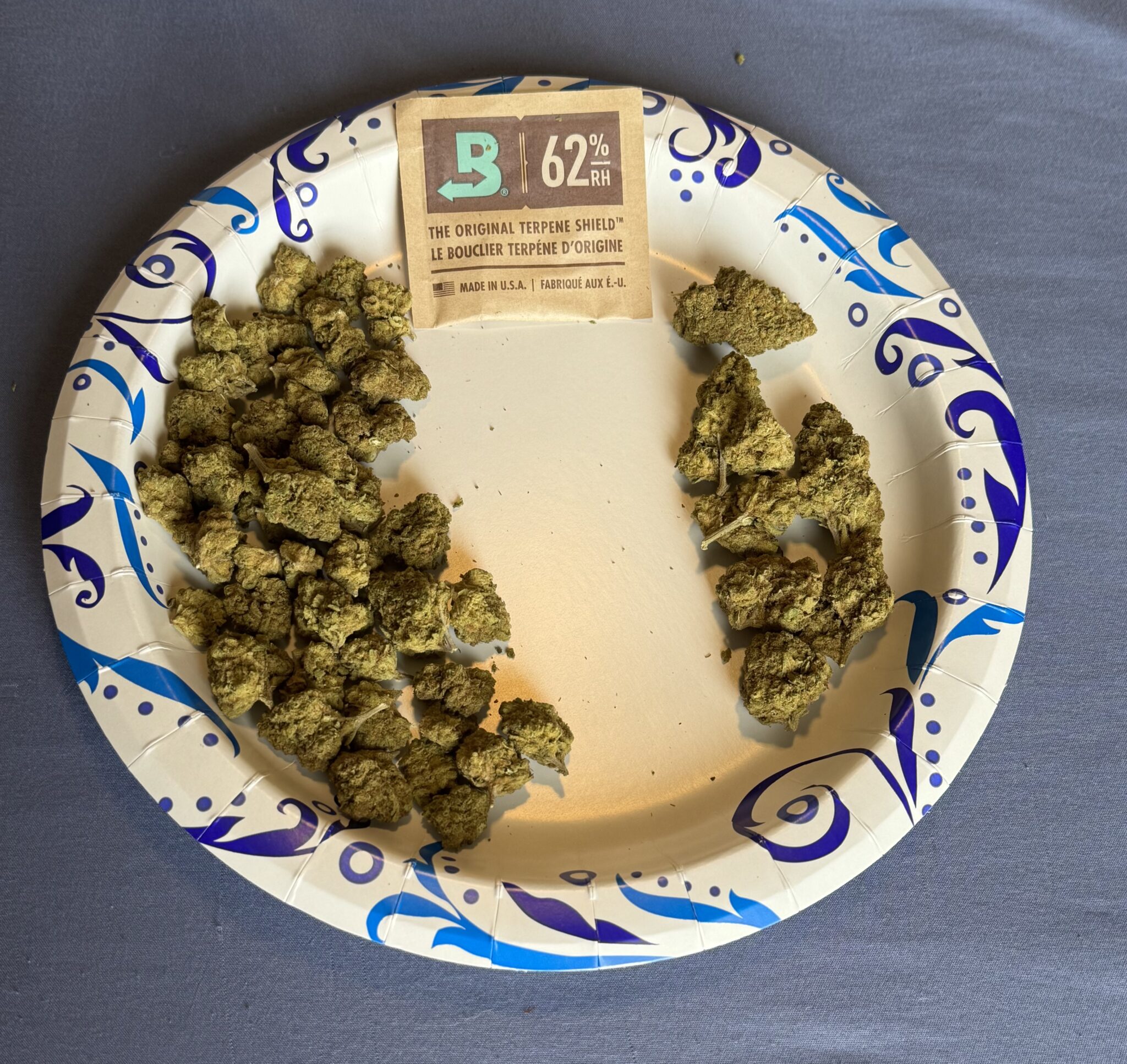 Image #3 from Blake Griffin