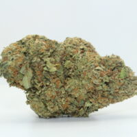 Lemon Kush THCA Hemp Flower