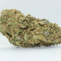 Lemon Kush THCA Hemp Flower