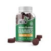 CBDfx CBD Gummies Wellness Mushroom 1500mg 60ct