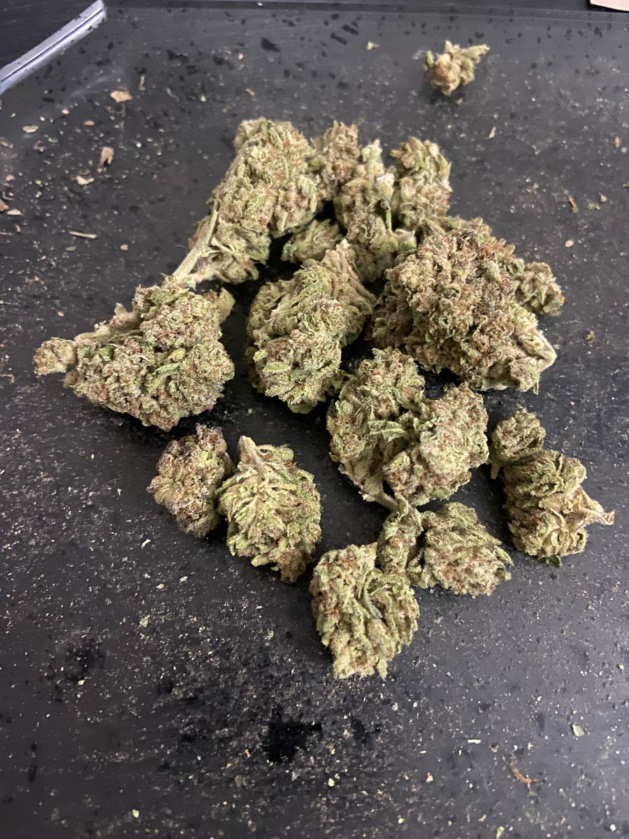 Image #3 from Dr.Ganja Customer