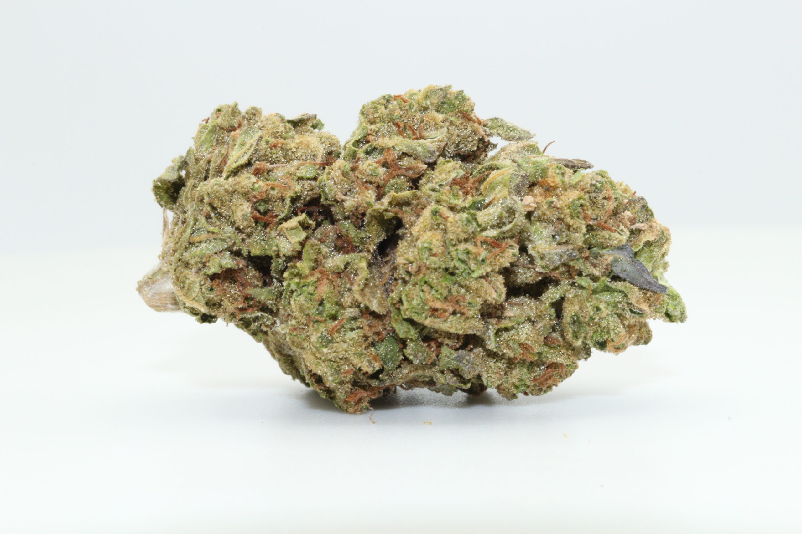 Cereal Milk THCA Hemp Flower Cereal Milk THCA Hemp Flower