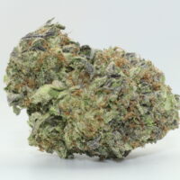 White Widow
