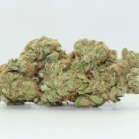 Blue Nerds THCA Hemp Flower