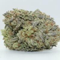 Blueberry Pie THCA Hemp Flower