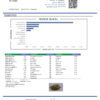 Chemdawg Terpenes Certificate of Analysis