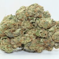 Cherry Do-Si-Dos THCA Hemp Flower