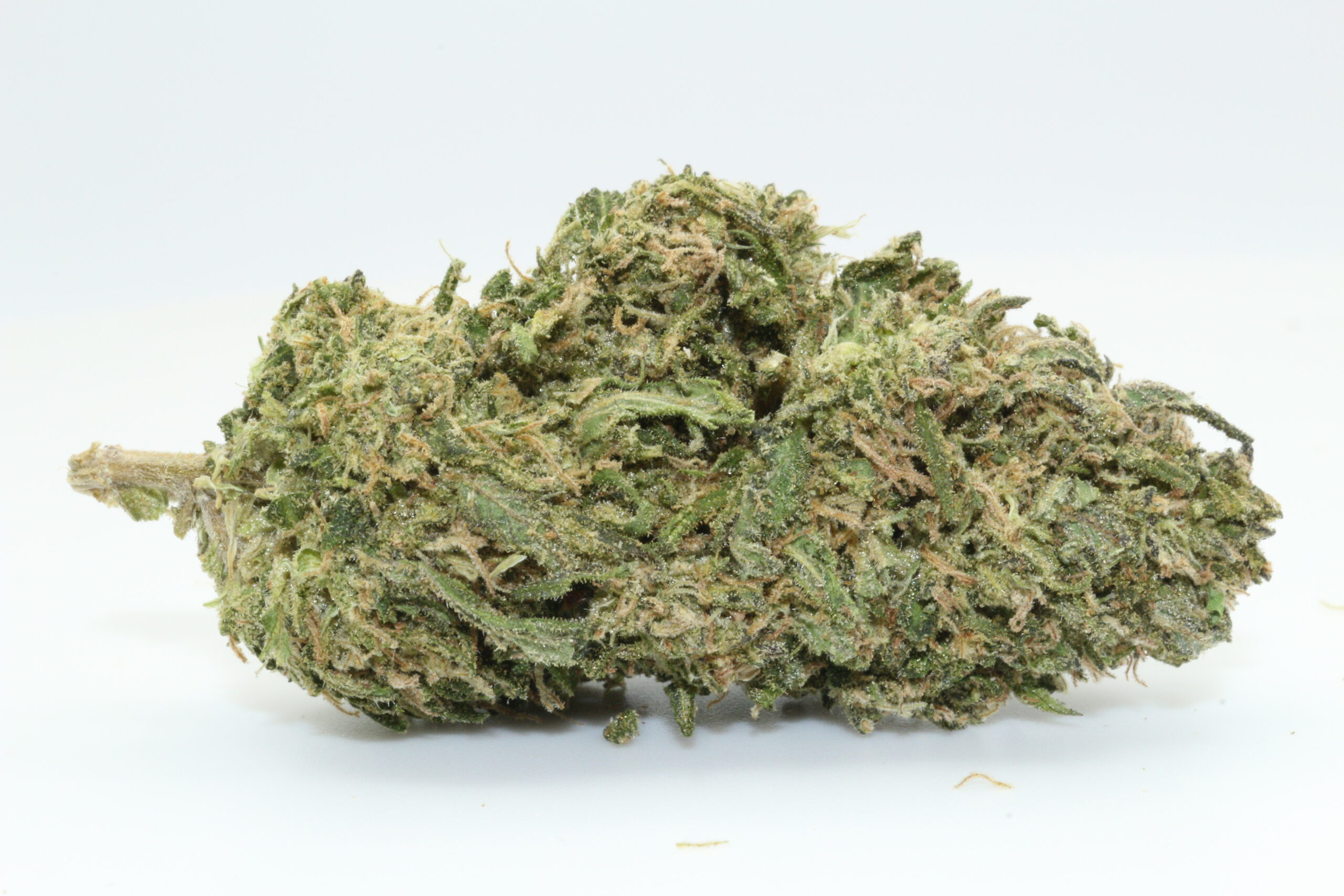 Elvis THCA Hemp Flower Elvis THCA Hemp Flower